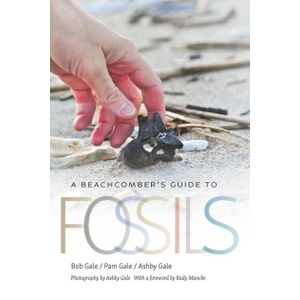 Ouri shop A Beachcomber's Guide to Fossils