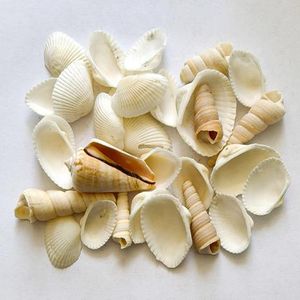 Prisma أحجار زينة 6-9 مم (0.5 كغ)