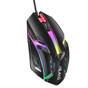 Souris Gaming Filaire USB RGB Ergonomique – 3 Boutons – DPI Réglable – Souris Gamer Optique pour PC, Ordinateur Portable et Bureau – Noir