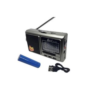 Radio portable 8 BAND avec USB/TF CARD - Musique partout sans fil