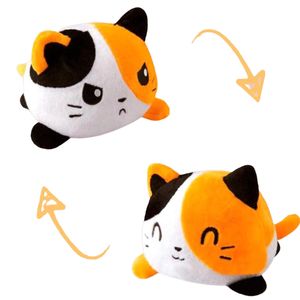 Peluches refourrées pour chats VBGWSHG, peluches Maroc