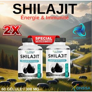 Herbo Ridouane 2 BOUTEILLES DE SHILAJIT / Capsules de SHILAJIT, haute dose de SHILAJIT de l'Himalaya, 300mg fulvine et acides humiques, Boost d'énergie quotidien 120 Gélules