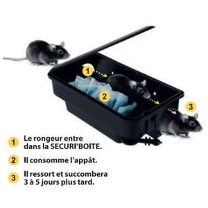 علبة طُعم لمبيد القوارض - فخ للفئران والجرذان