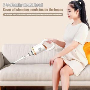 Aspirateur vertical léger pour usage domestique