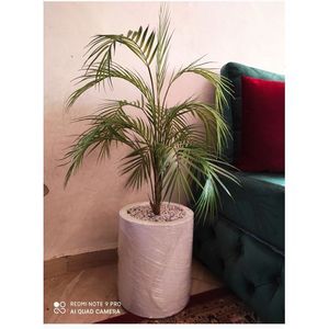 FEJKA Plante artificielle en pot, intérieur/extérieur Aréca, 12 cm