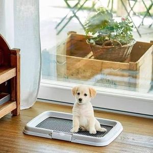 Stefanplast Tapis éducatif pour chien - toilette pour Chien