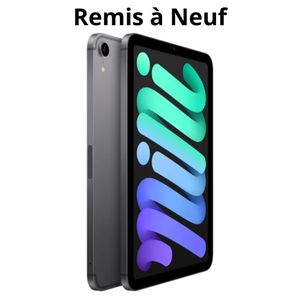 Apple iPad Mini - 6e Génération (2021) - 256GB - Wi-Fi - Gris Sidéral - Remis a neuf