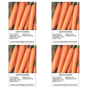 Lot de 4 - Graines de Carotte Touchon - Variété Rustique pour Jardin - Semences de Qualité Française