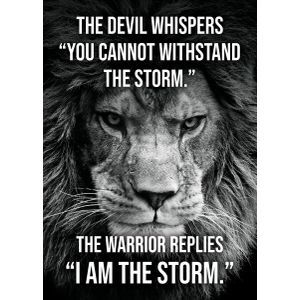 Warrior i am the storm  Poster Chambre Haute Qualité