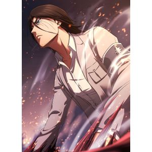 Eren attack on titan  Style 4 Poster Chambre Haute Qualité