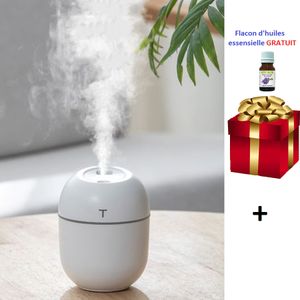 Generic Mini humidificateur d'air arôme diffuseur d'huile essentielle  maison voiture USB à prix pas cher