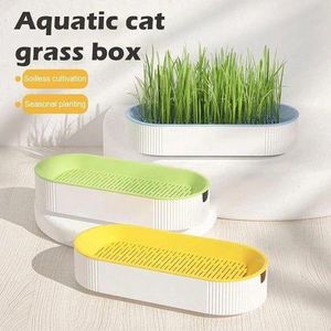 Système Hydroponique pour Herbe à Chat – Bac de Culture Sans Terre, Germination Rapide