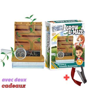 مشاهدة ممتعة لتجربة علم نمو النبات ولعب الفيزياء للأطفال