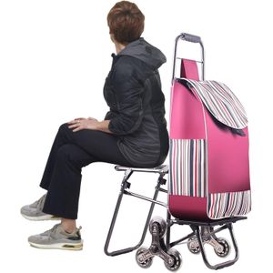 Chariot de Courses Pliable avec Siège – Sac de Courses Grande Capacité,Roues Pivotantes,Cadre Renforcé,Chariot Multifonction pour Courses et Déplacements
