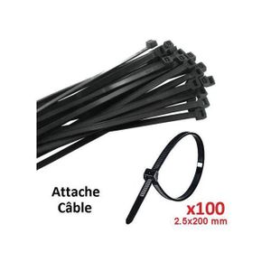 100 Pcs Collier Anneau Serrage Autobloquant 2.5x200mm Attache Câble, Nylon TIE
