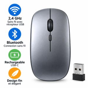 Souris Sans Fil Rechargeable Bluetooth + 2.4G – Silencieuse, Double Mode, USB-C - Grey