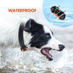 Collier dressage Chien avec Choc Électrique Imperméable Avec Télécommande
