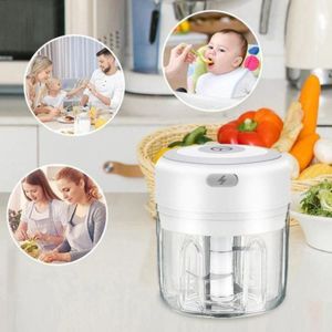 Mini Hachoir Electrique, 250ml Mini Mixer Presse Ail Sans Fil Puissant,  Mixeur Portable Blender, Hachoir Manuel avec 100ml Bol Mixeur, pour Oignon