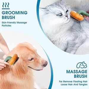 La Brosse Magique pour votre Animal de Compagnie
