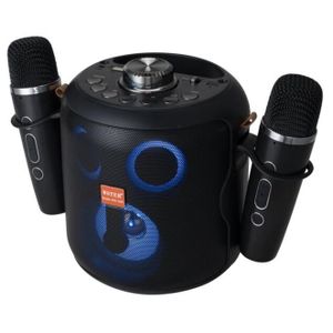 Haut parleur Bluetooth Enceinte karaoké bluetooth Speaker baf avec 2 Microphones, Portable, Lumières LED
