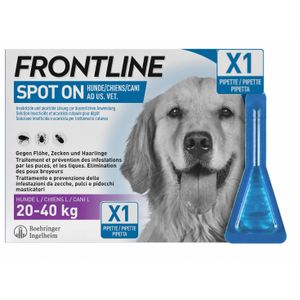 Front Line Pipette anti puce Frontliine pour chien 20KG - 40KG