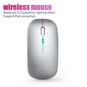 Souris sans fil double Mode de connexion Bluetooth et 2.4G Portable et silencieux DPI réglable 600mAh Rechargeable RGB lumineuse Micro USB souris portables pour tablette téléphone ordinateur PC portable IPad tablette Smart TV GRIS
