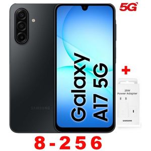 Samsung جالاكسي A17 6.7 بوصة 4G (8 جيجابايت رام + 256 جيجابايت ROM) - 50 ميجابكسل + محول - فضي