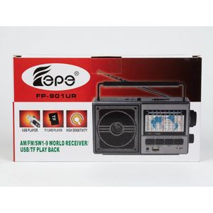 Epe Radio Portative FP-901UR – Récepteur Mondial AM/FM/SW1-9 avec Lecture USB & TF
