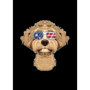 Labaradoodle usa  Poster Chambre Haute Qualité