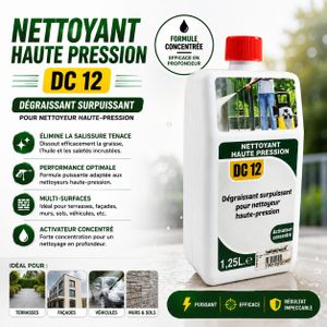 Agent Dégraissant Actif-Shampooing Détergent Carrosserie Flacon 1.25 Litres Lavage Terrasse Murs Sols Dalle Mousse Nettoyeur Pression Entretien Jardin Garage Outillage
