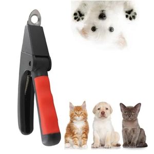 Coupe Ongle Pour Chien Au Maroc Animalerie En Ligne Jumia