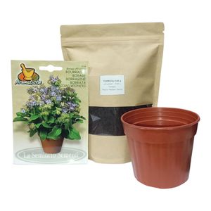 la semiorto sementi Kit de Plantation Bourrache (Borago Officinalis) – Herbe Aromatique & Médicinale – Graines + Pot + Terreau 500g