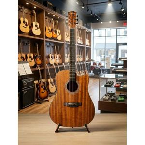 Guitar GUITARE ELECTRO-ACOUSTIQUE pro