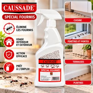 Insecticide Special Fourmis Spray Liquide Pret A L'emploi Action Efficace