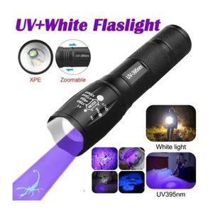 Lampe UV Portable Détection de Scorpions – Lampe Ultraviolet pour Inspection et Détection