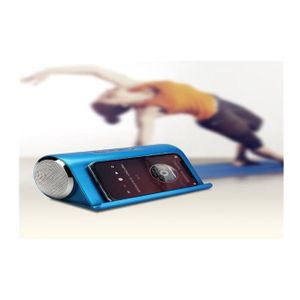Haut-Parleur Sans Fil LP-V9 – Enceinte Portable avec USB Carte TF et Fonction FM