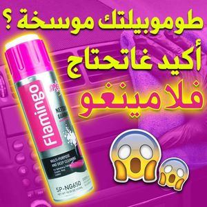 Nettoyant mousse Flamingo pour voiture et maison – 650 ml