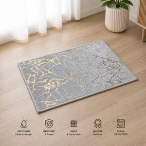 Tapis de porte anti taches couleur blanche 40*60 cm 