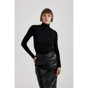 Defacto Slim Fit Turtleneck Ribana Pullover