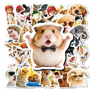 Besoine d'un boost d'humeur instantané ? 56 autocollants d'animaux habillés drôles, autocollants durables de style réaliste et mignons pour décorer les cahiers, les bagages, les agendas et plus encore