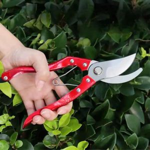 Ciseaux de jardinage en acier carbone haute qualité pour plantes