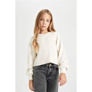 Defacto بلوفر قصة عادية برقبة مستديرة