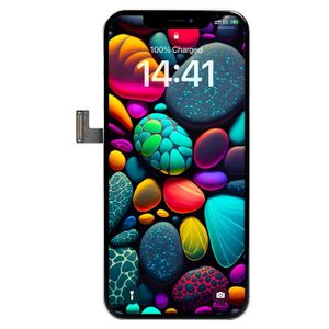 Afficheur pour iPhone 13 Pro Max 6,1" LCD Incell Ecran  +  incassable en verre trempé