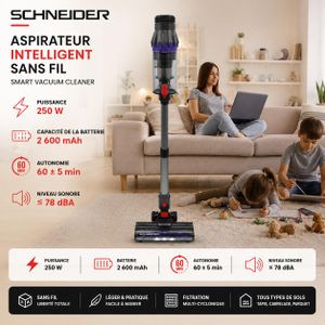 Schneider Aspirateur balai Sans Fil 250 W, Batterie 2600 mAh, Autonomie 60 min, VBC11B-SCH