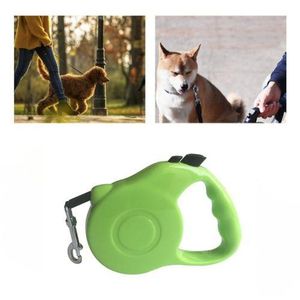 Laisse Rétractable pour Chien – Corde Solide de 5 M avec Verrouillage et Frein à Une Touche