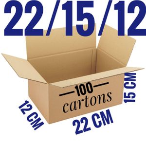 Carton d'emballage 100 Pièces pour Vendeurs 22cm/15cm/12cm