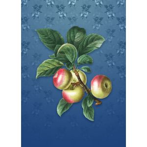 Apple on bahama blue  Poster Chambre Haute Qualité