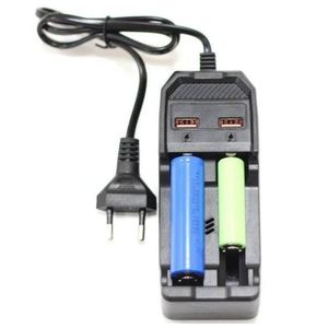 Chargeur de Batterie au Lithium à Double Charge – 2 Ports USB pour Charge Rapide