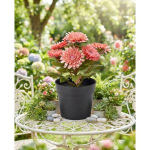 fleur artificiel Pot de Chrysanthème Rose