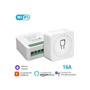 Mini interrupteur intelligent TUYA Home Lights DIY Contrôle bidirectionnel Temporisation 16A Marche avec Yandex Alice, Alexa, Assistant Google APPLICATION SmartLife